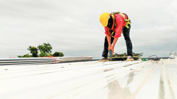 Best Chimney Flashing Repair  in Hull, IA